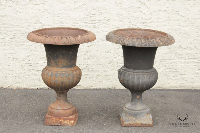 Vintage French Style Pair of Cast Iron Garden Urns