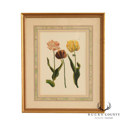 Chelsea House Tulip Botanical Lithograph, Custom Framed
