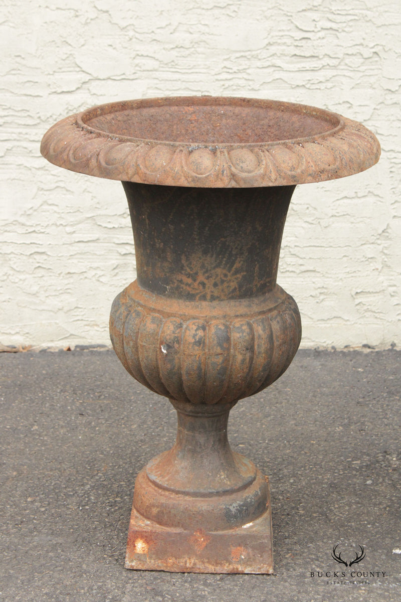 Vintage French Style Pair of Cast Iron Garden Urns