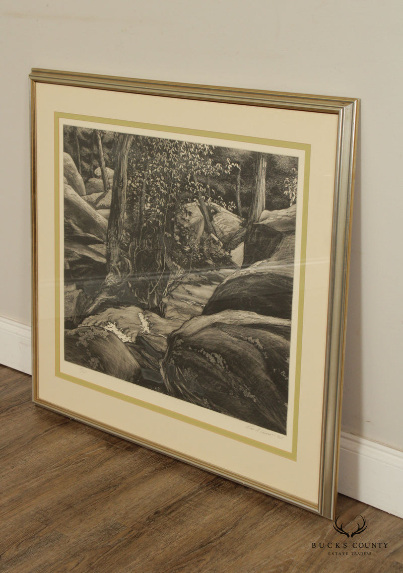 Vintage Roger Cairns 'Unami One' Landscape Etching, Custom Framed